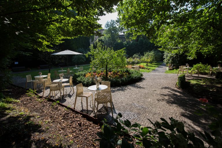 Ogród z brukowanym patio pod gęstym zielonym baldachimem drzew, kilkoma okrągłymi stolikami i ażurowymi krzesłami rozstawionymi wokół, parasolem, środkową okrągłą rabatą z małym drzewkiem i kolorowymi kwiatami oraz gęstymi krzewami i fragmentami budynku widocznymi w tle.